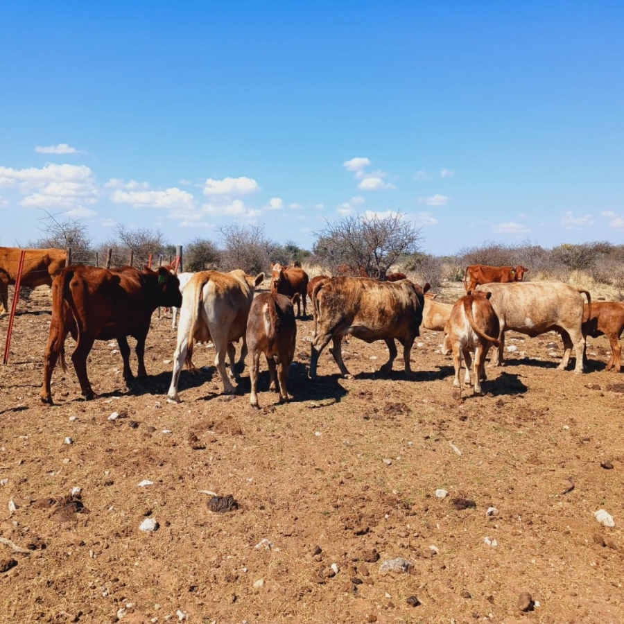  Bedroom Property for Sale in Barkly West Rural Northern Cape